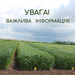 До відома суб’єктів насінництва та розсадництва!