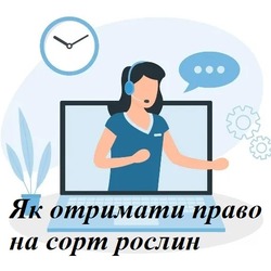 Як отримати право на сорт рослин: загальна інструкція для заявника