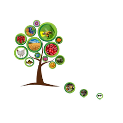 Інформація щодо проведення науково-практичної конференції «Agrobiodiversity for improve the nutrition, health and quality of human and bees life»