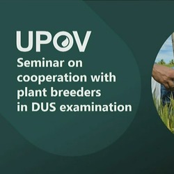 Делегація України бере участь у засіданнях Ради UPOV 2025 року