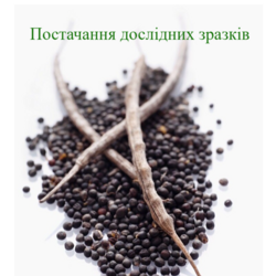 Шановні заявники!