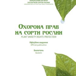 Шановні колеги! 