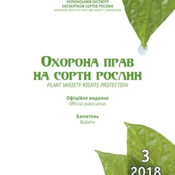 Шановні колеги!