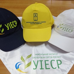 ПІДВИЩЕННЯ КВАЛІФІКАЦІЇ