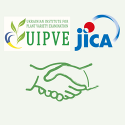 Дякуємо Японії та JICA за сучасну техніку для збору врожаю!